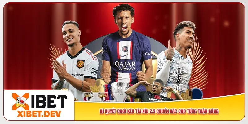 Bí quyết chơi kèo tài xỉu 2.5 chuẩn xác cho từng trận bóng Bí quyết chơi kèo tài xỉu 2.5 chuẩn xác cho từng trận bóng