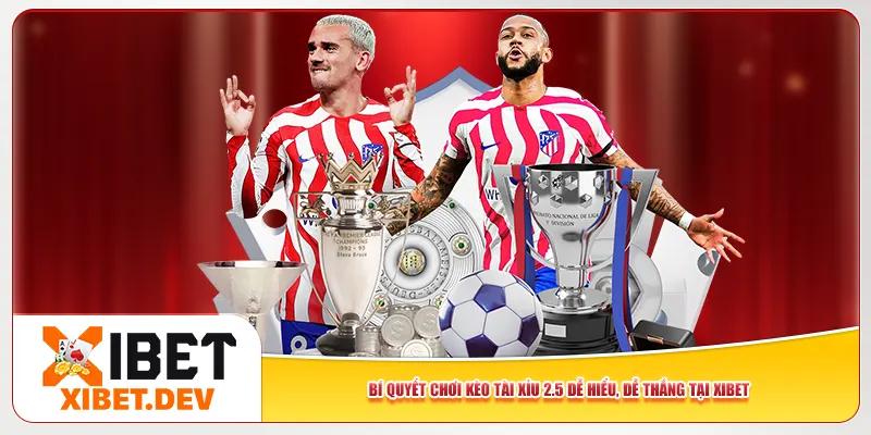 Bí Quyết Chơi Kèo Tài Xỉu 2.5 Dễ Hiểu, Dễ Thắng Tại Xibet