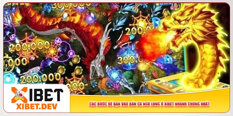 Các bước để bạn vào bắn cá Ngũ Long ở Xibet nhanh chóng nhất Các bước để bạn vào bắn cá Ngũ Long ở Xibet nhanh chóng nhất