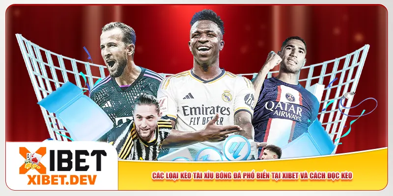 Các loại kèo tài xỉu bóng đá phổ biến tại Xibet và cách đọc kèo Các loại kèo tài xỉu bóng đá phổ biến tại Xibet và cách đọc kèo