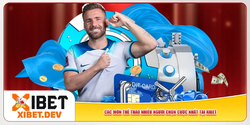 Các môn thể thao nhiều người chọn cược nhất tại Xibet Các môn thể thao nhiều người chọn cược nhất tại Xibet
