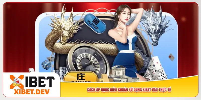 Cách áp dụng điều khoản sử dụng Xibet vào thực tế Cách áp dụng điều khoản sử dụng Xibet vào thực tế