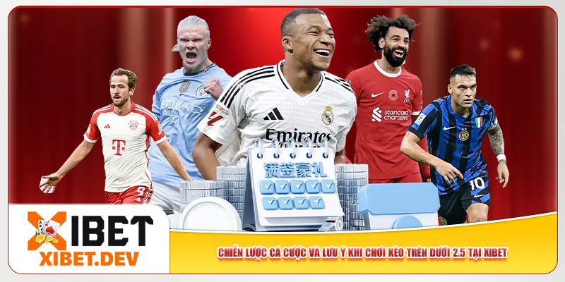 Chiến lược cá cược và lưu ý khi chơi kèo trên dưới 2.5 tại Xibet Chiến lược cá cược và lưu ý khi chơi kèo trên dưới 2.5 tại Xibet