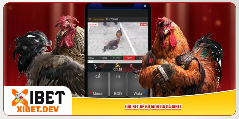 Đôi nét về bộ môn đá gà Xibet Đôi nét về bộ môn đá gà Xibet