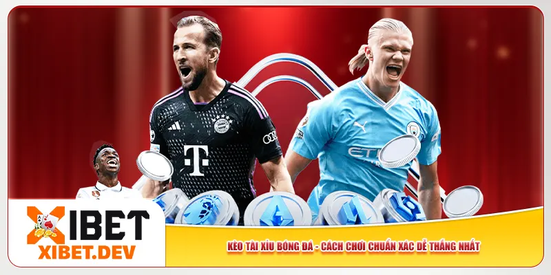 Kèo Tài Xỉu Bóng Đá – Cách Chơi Chuẩn Xác Dễ Thắng Nhất