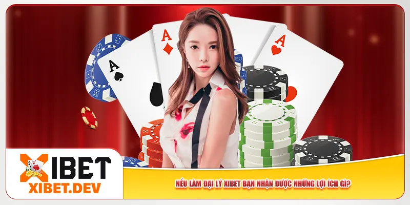 Nếu làm đại lý Xibet bạn nhận được những lợi ích gì? Nếu làm đại lý Xibet bạn nhận được những lợi ích gì?