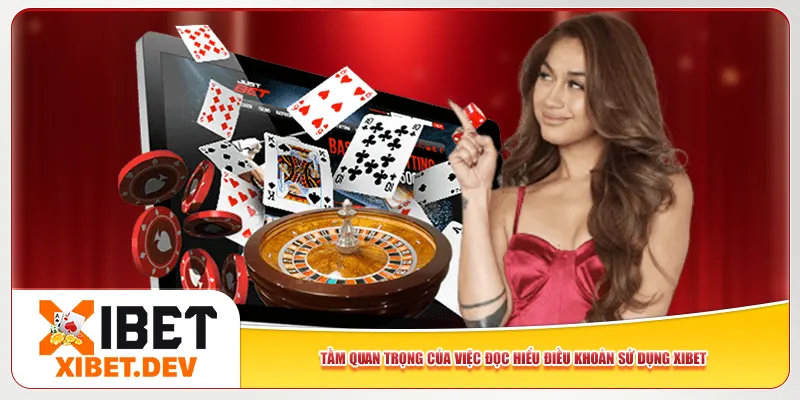 Tầm quan trọng của việc đọc hiểu điều khoản sử dụng Xibet Tầm quan trọng của việc đọc hiểu điều khoản sử dụng Xibet