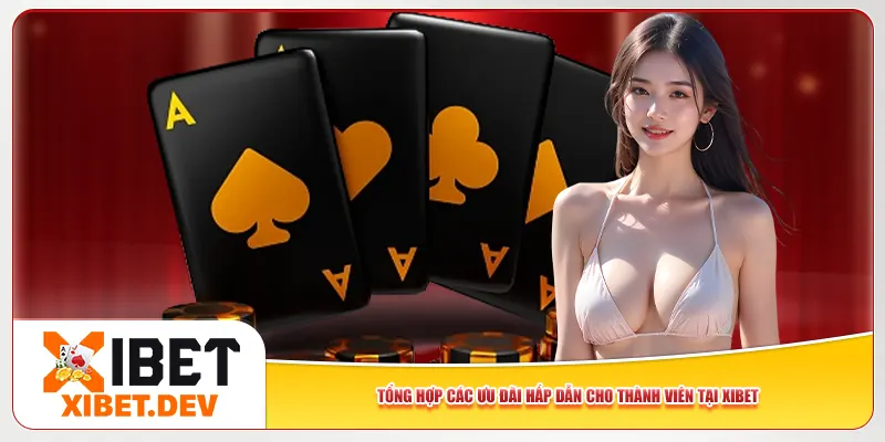 Tổng hợp các ưu đãi hấp dẫn cho thành viên tại Xibet
