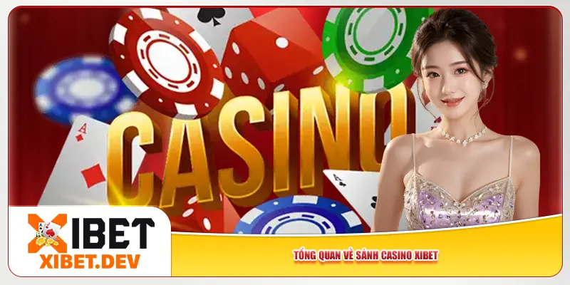 Tổng quan về sảnh casino Xibet Tổng quan về sảnh casino Xibet